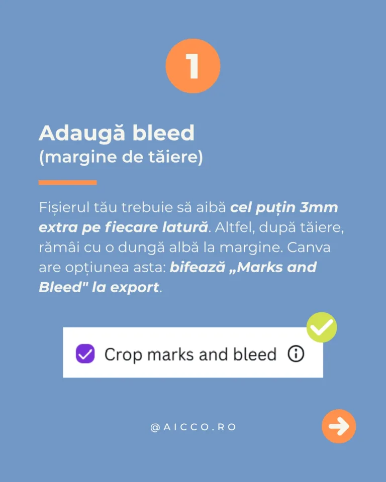 PDF sau JPG pentru tipar canva2