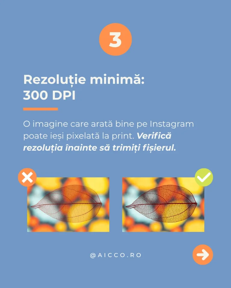 PDF sau JPG pentru tipar canva4